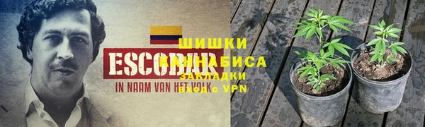 мет Арсеньев